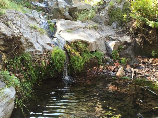 Sycamore Canyon Falls